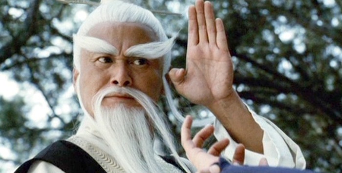 I will teach you Kung Fu!!